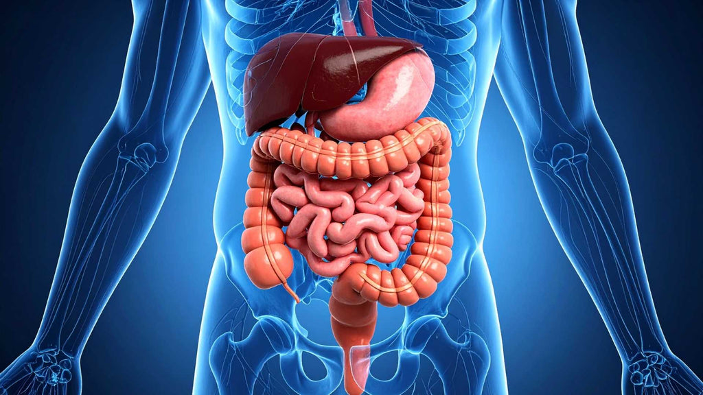 Constipation Meaning | Chrysalis Spa 