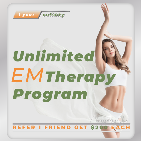 Unlimited EmTherapy Program | Chrysalis