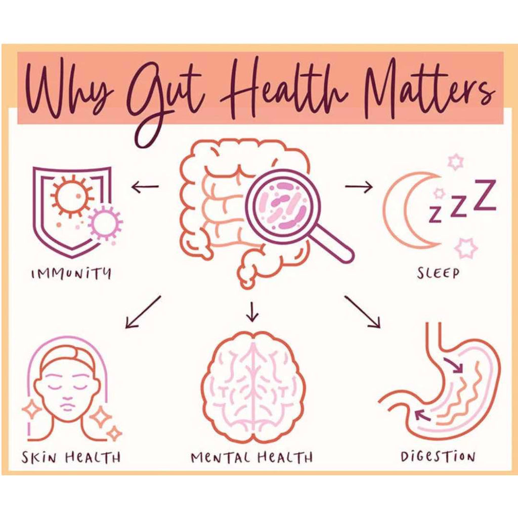 Gut Bloating | Chrysalis Spa