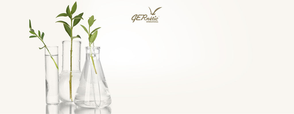 GERnetic International | Chrysalis