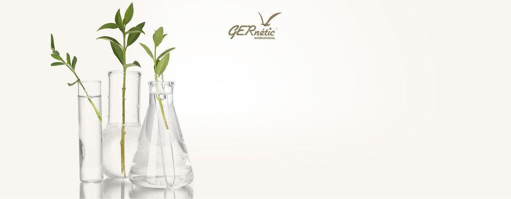 GERnetic International | Chrysalis 